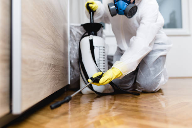 Pest Control Cost in Mount Vernon, IL